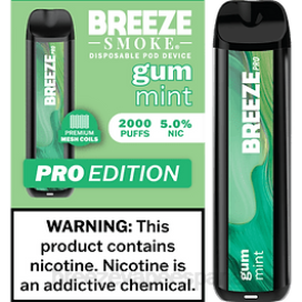 Breeze Vape Near Me - Breeze Pro 2000 bocanadas goma de menta 2JJR24