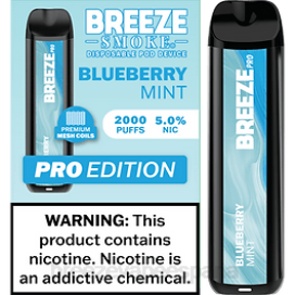 Breeze Vape Precio - Breeze Pro 2000 bocanadas menta de arándanos 2JJR33